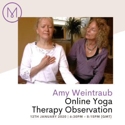 Amy Yoga Therapy, one on one